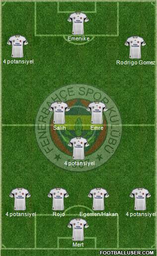 Fenerbahçe SK Formation 2014
