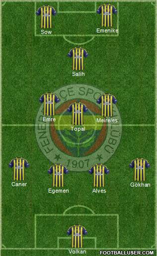 Fenerbahçe SK Formation 2014