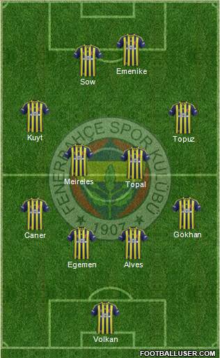 Fenerbahçe SK Formation 2014