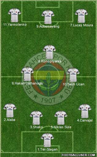 Fenerbahçe SK Formation 2014