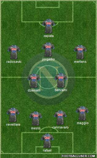 Napoli Formation 2014