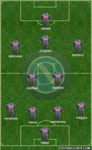 Napoli Formation 2014