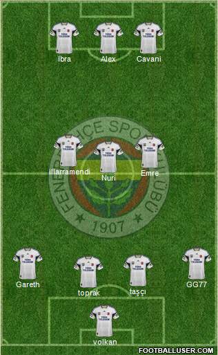 Fenerbahçe SK Formation 2014