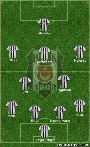 Besiktas JK Formation 2014