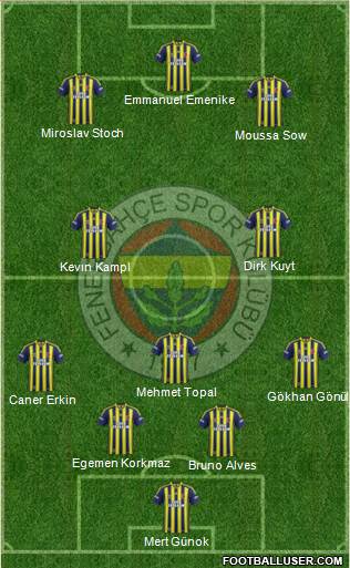Fenerbahçe SK Formation 2014