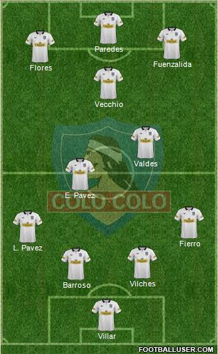 CSD Colo Colo Formation 2014