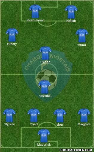 Chamois Niortais Football Club Formation 2014