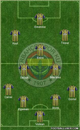 Fenerbahçe SK Formation 2014
