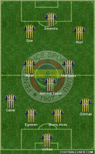 Fenerbahçe SK Formation 2014