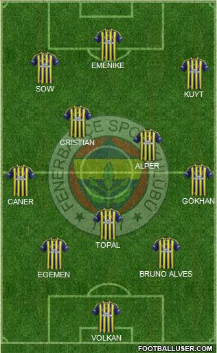 Fenerbahçe SK Formation 2014