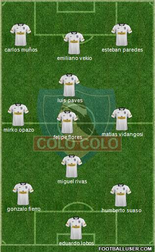 CSD Colo Colo Formation 2014