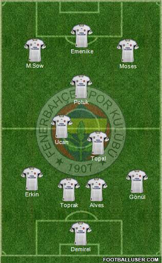 Fenerbahçe SK Formation 2014