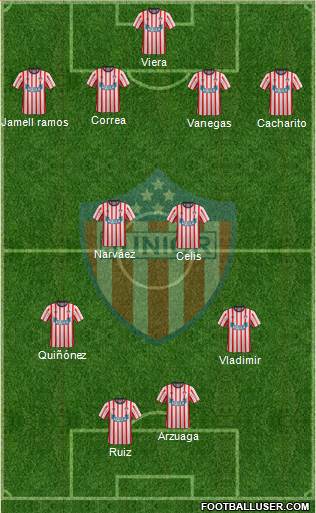 CPD Junior Formation 2014
