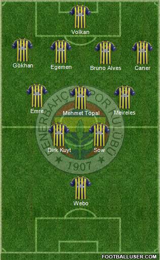 Fenerbahçe SK Formation 2014
