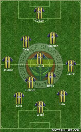 Fenerbahçe SK Formation 2014