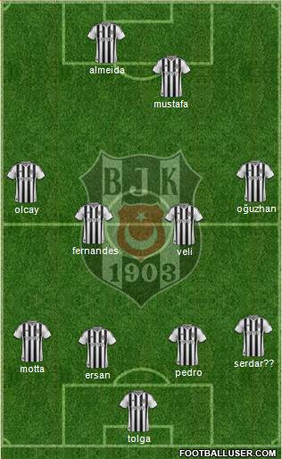 Besiktas JK Formation 2014
