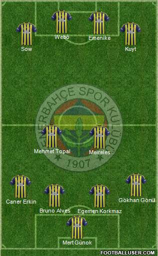 Fenerbahçe SK Formation 2014