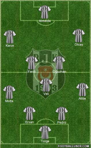 Besiktas JK Formation 2014