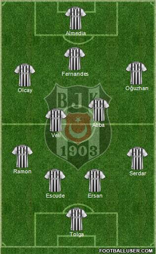 Besiktas JK Formation 2014