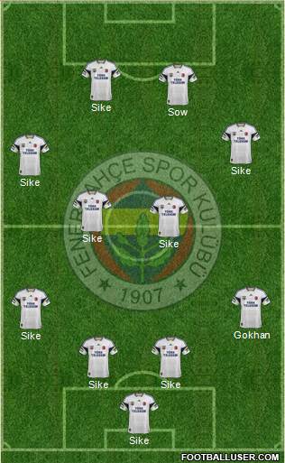 Fenerbahçe SK Formation 2014