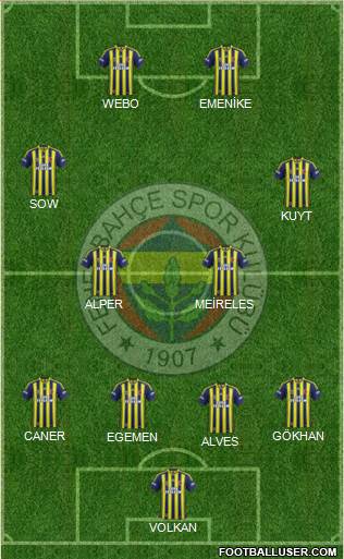 Fenerbahçe SK Formation 2014