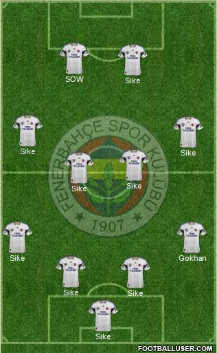Fenerbahçe SK Formation 2014