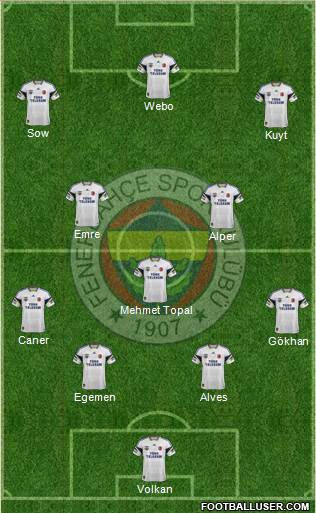 Fenerbahçe SK Formation 2014