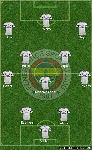 Fenerbahçe SK Formation 2014