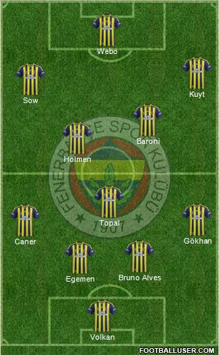 Fenerbahçe SK Formation 2014