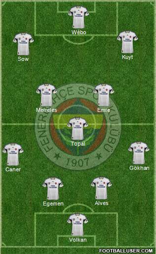 Fenerbahçe SK Formation 2014