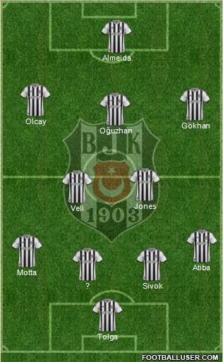 Besiktas JK Formation 2014