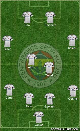 Fenerbahçe SK Formation 2014