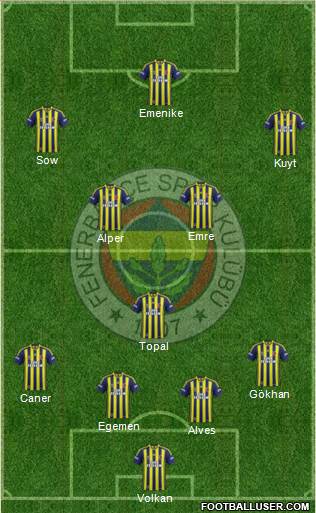 Fenerbahçe SK Formation 2014