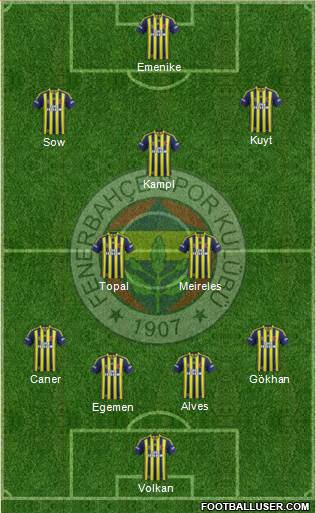 Fenerbahçe SK Formation 2014