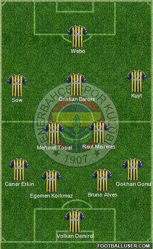 Fenerbahçe SK Formation 2014
