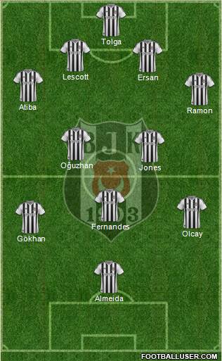Besiktas JK Formation 2014