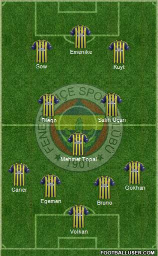 Fenerbahçe SK Formation 2014