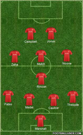 Cardiff City Formation 2014
