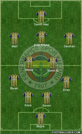 Fenerbahçe SK Formation 2014