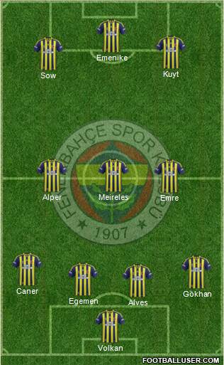 Fenerbahçe SK Formation 2014