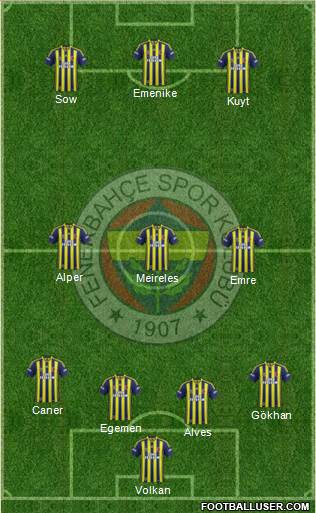 Fenerbahçe SK Formation 2014