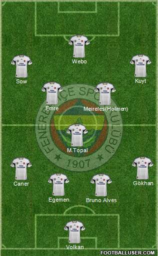 Fenerbahçe SK Formation 2014