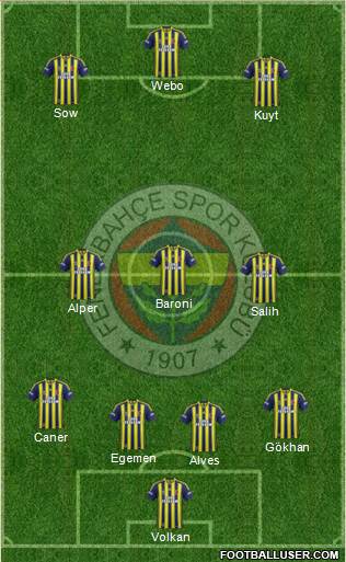 Fenerbahçe SK Formation 2014