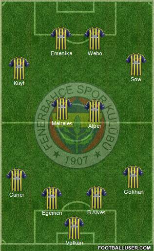 Fenerbahçe SK Formation 2014