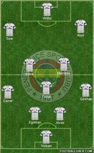 Fenerbahçe SK Formation 2014