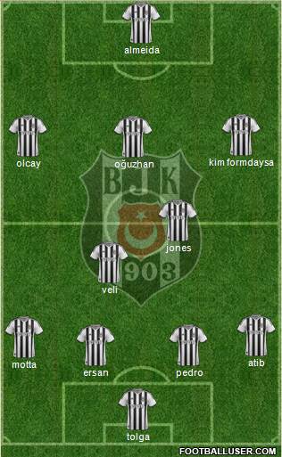 Besiktas JK Formation 2014
