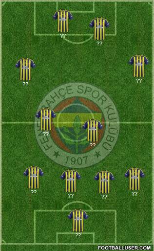 Fenerbahçe SK Formation 2014