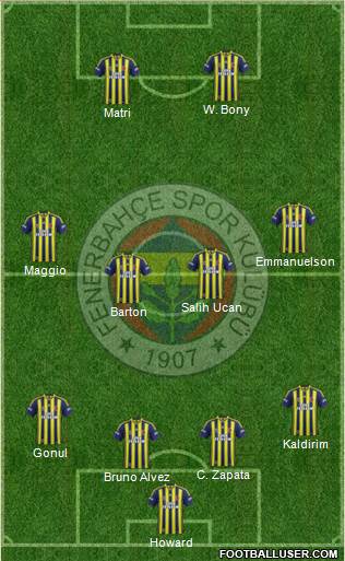 Fenerbahçe SK Formation 2014