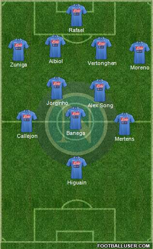 Napoli Formation 2014