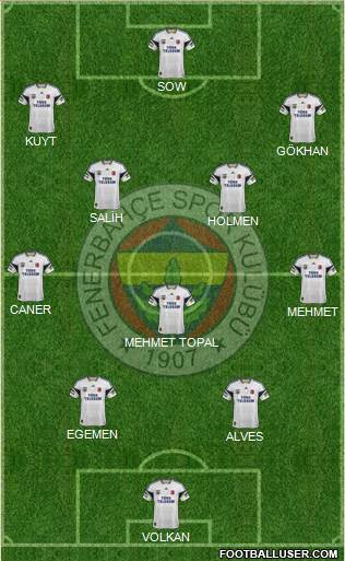 Fenerbahçe SK Formation 2014